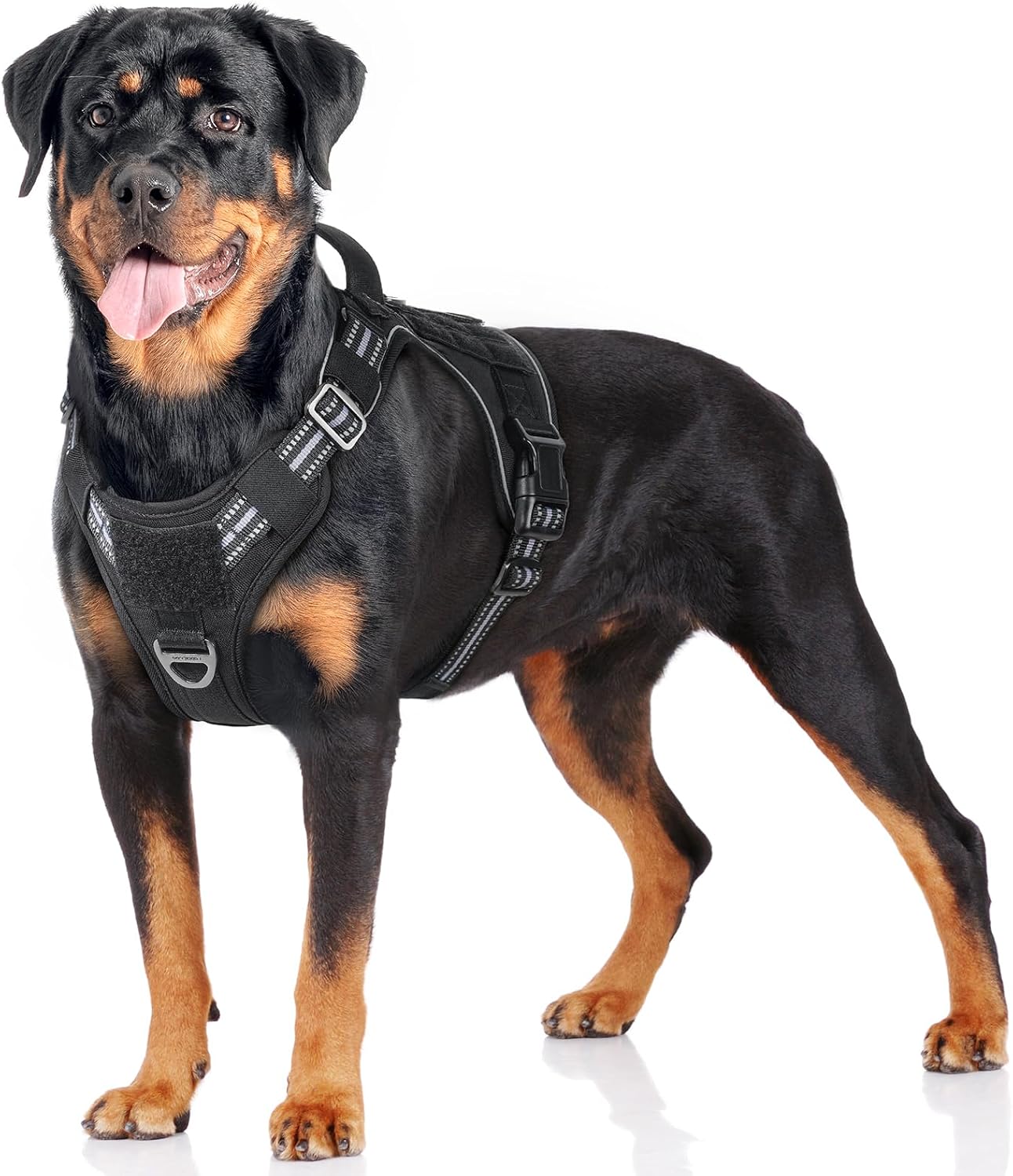 Detalle de Rabbitgoo No Pull Dog Harness Large Black L