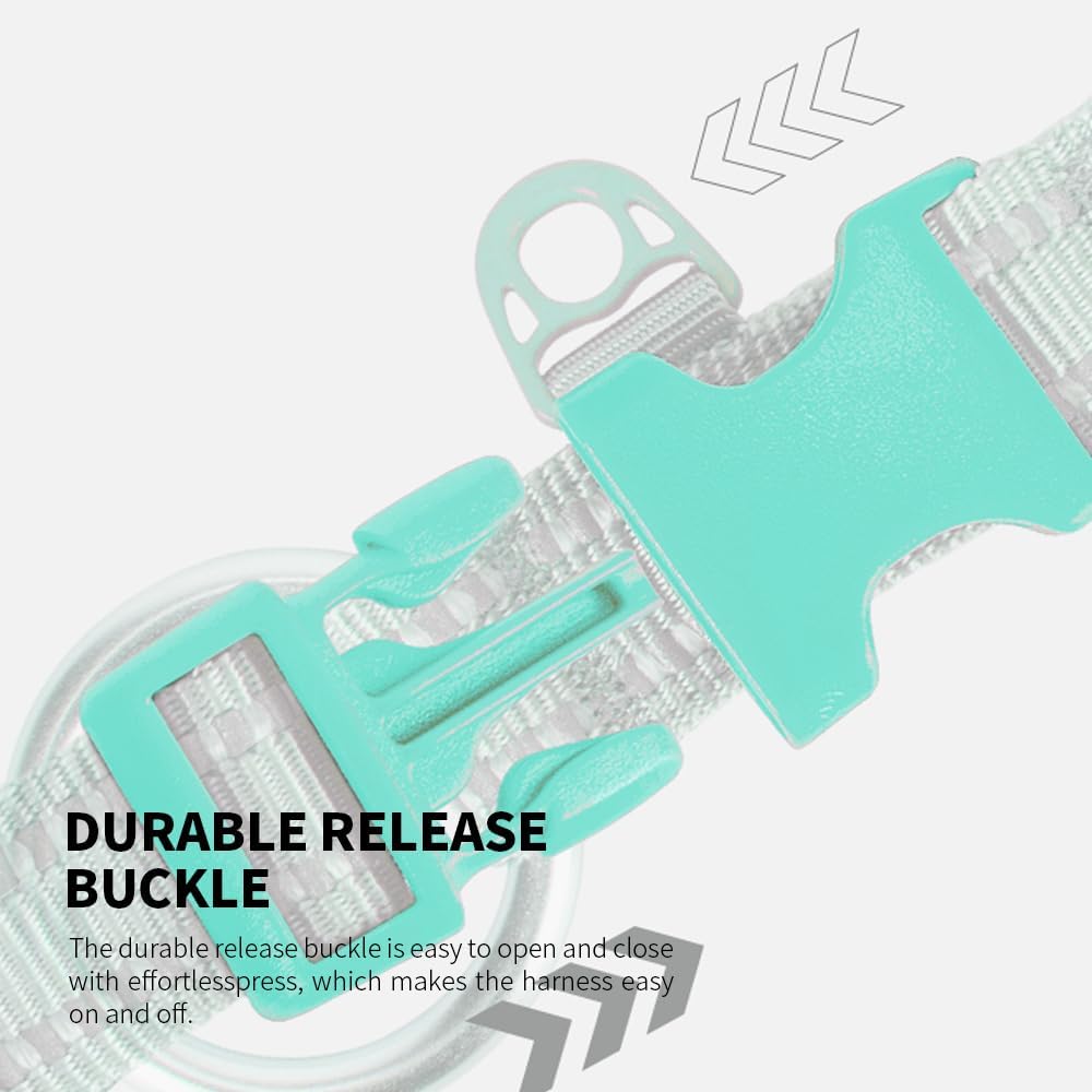 Detalle de Small Combination Adjustable Pet Dog Collar, Turquoise and Black (Aqua Green, M)