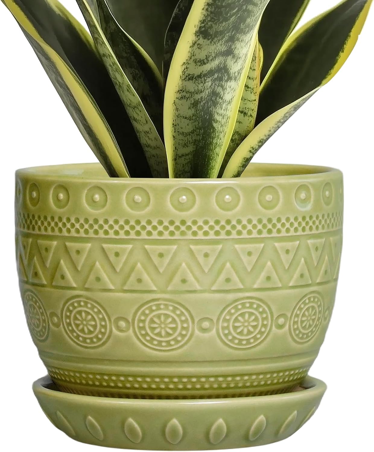 Detalle de EPGardening Ceramic Plant Pot 5.5-Inch