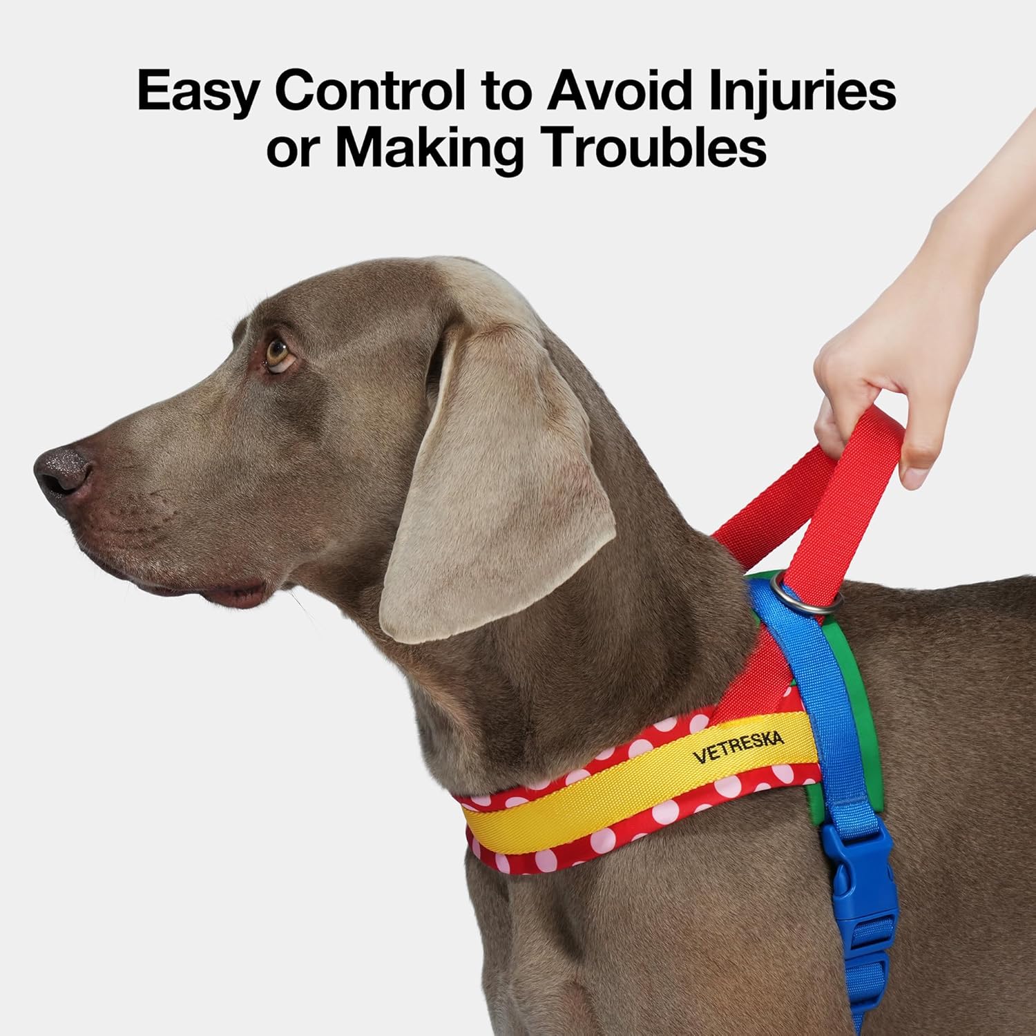 Thumbnail 6 de VETRESKA Dog Harness and Leash Set (XS, Red): No-Pull, Adjustable, 360° Tangle-Free Walk Training