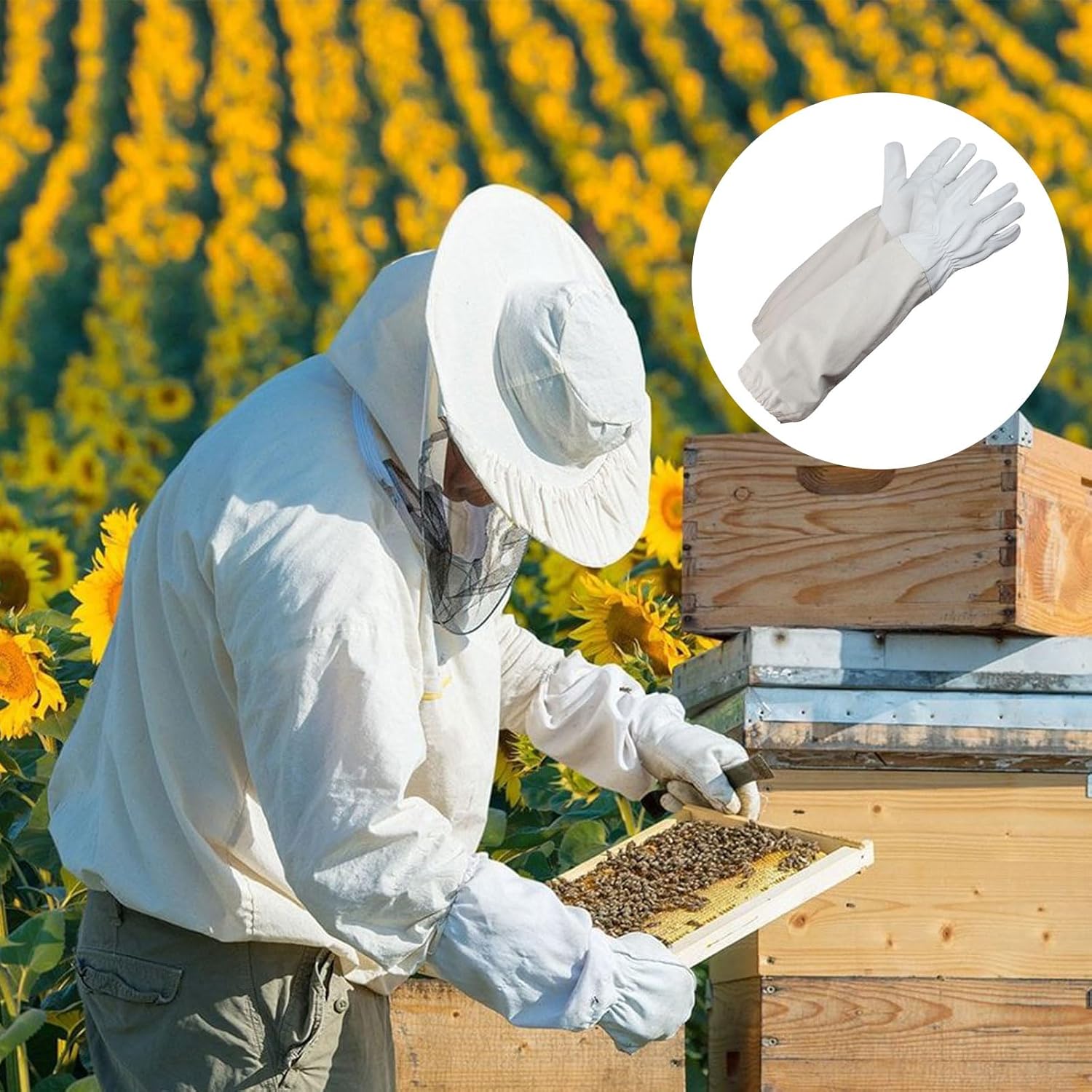 Thumbnail 1 de Helweet Beekeeping Gloves – Protective sting-proof gloves in white