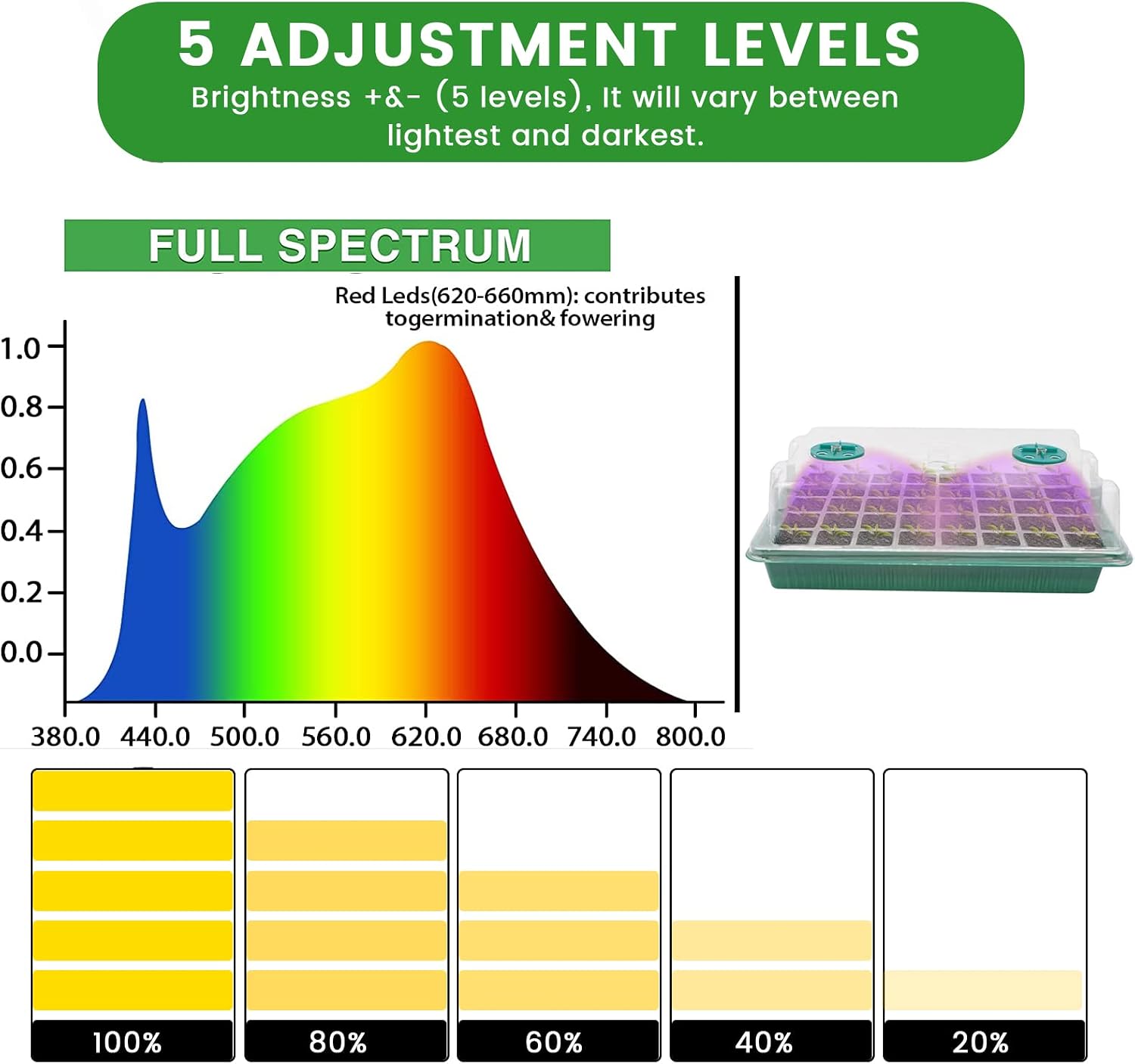 Detalle de Seed trays with grow light, 2m timer controller