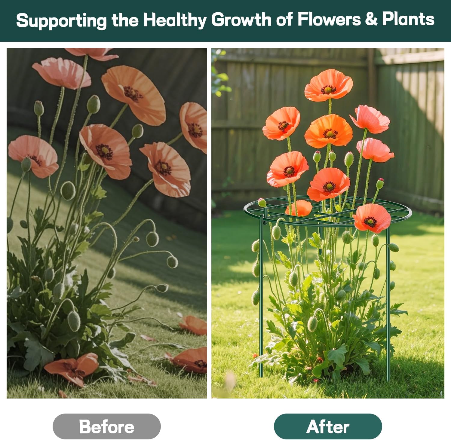 Thumbnail 4 de KAZITOO 4 Pack 60cm Round Grow Through Plant Supports – Heavy-Duty Metal Grid with Detachable Legs