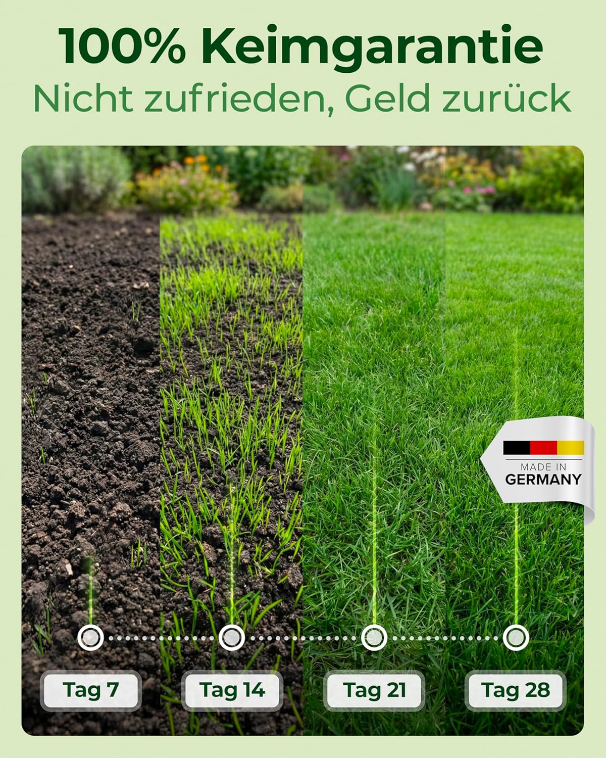 Thumbnail 2 de Natureflow Rasensamen schnellkeimend Frühjahr 5 kg für schnelle Rasen-Nachsaat (ca. 200 m²)