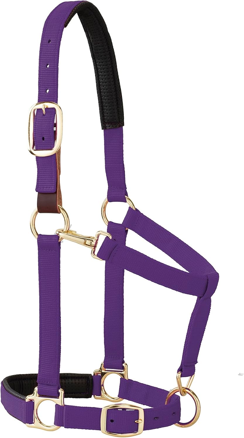 Detalle de Weaver Leather Equine Breakaway – zrywalny kantar dla konia, średni, fioletowy