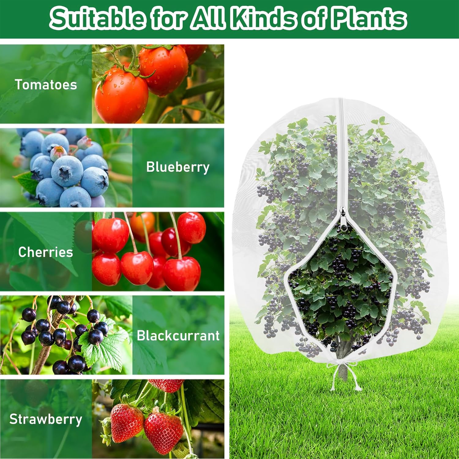 Thumbnail 3 de Fruit Tree Netting Bird Protection with Zipper 100×150 cm – Garden Plant Covers