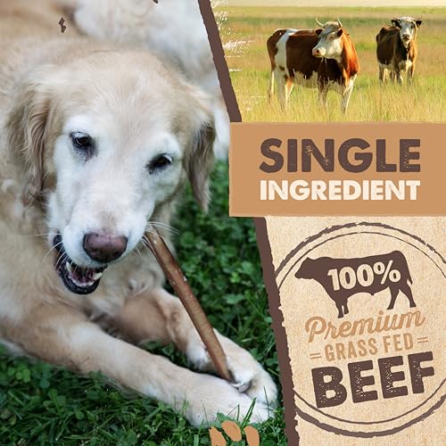 Thumbnail 3 de Mighty Paw 12" Bully Sticks for Dogs - Large, Medium and Small Breeds Chew