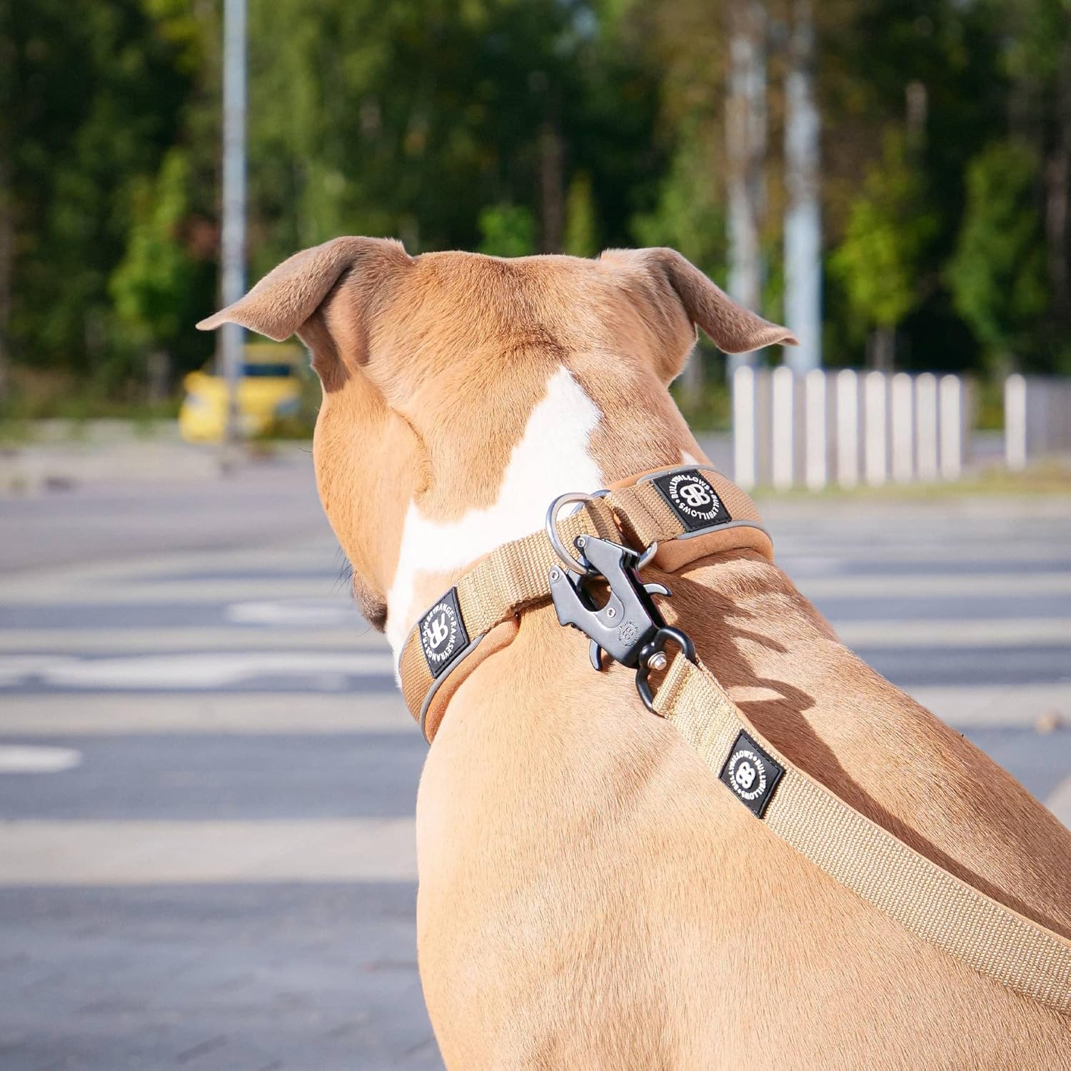 Thumbnail 4 de BullyBillows 1.2m Mini Combat Collar Lead with Soft Neoprene Handle (Stainless Steel Dog Lead)