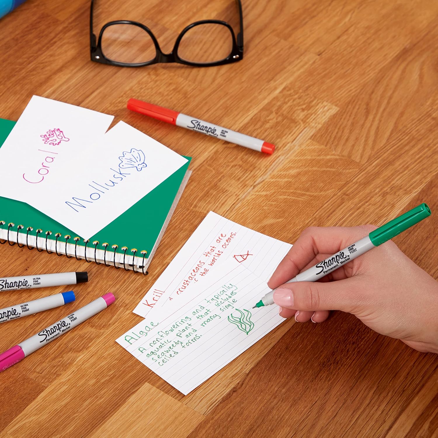 Thumbnail 5 de Sharpie marqueurs indélébiles pointe ultra fine – Lot de 12 📐