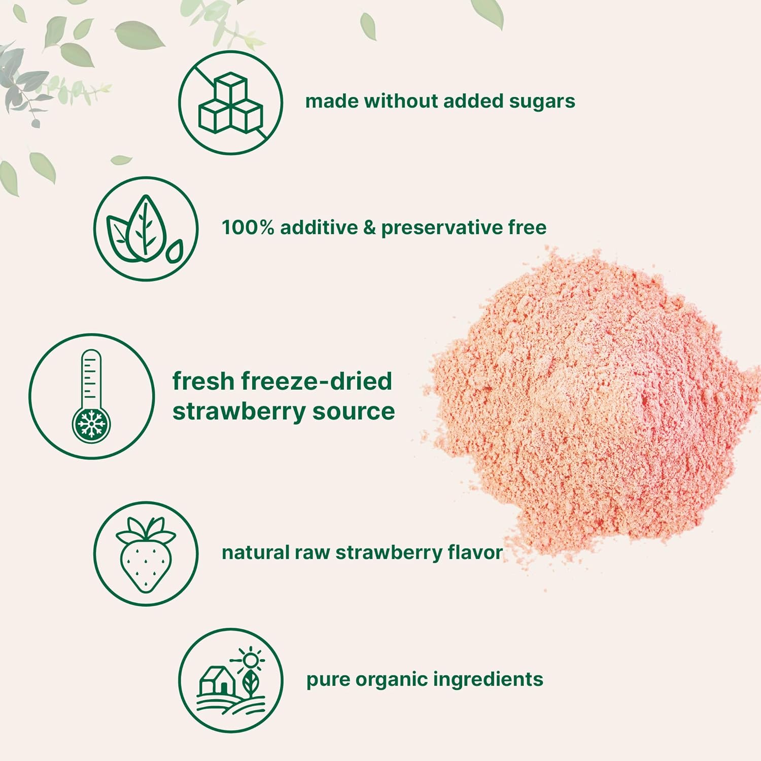 Detalle de Micro Ingredients AAKG Organic Freeze-Dried Strawberry Powder, 1 lb
