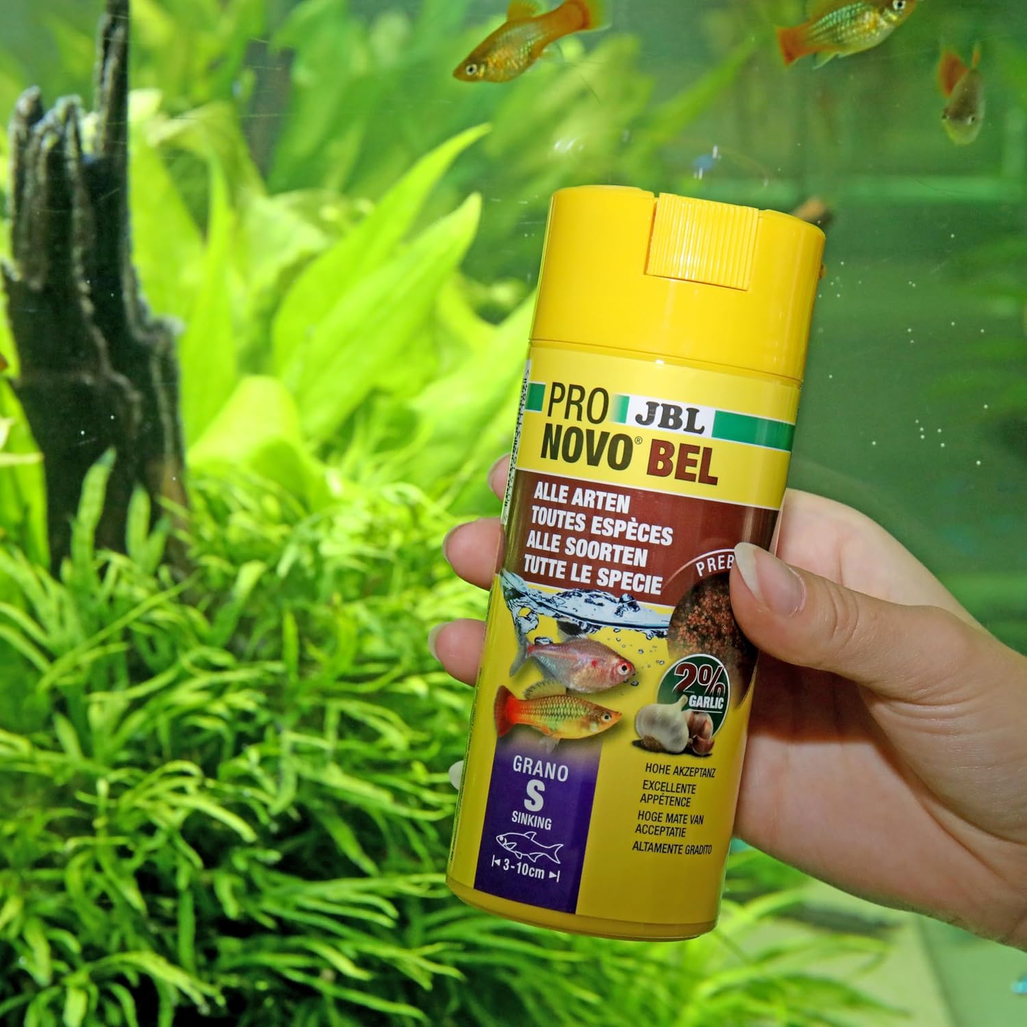 Thumbnail 2 de JBL PRONOVO BEL GRANO – Hauptfutter für Aquarienfische 3–10 cm, 250 ml (Click S)