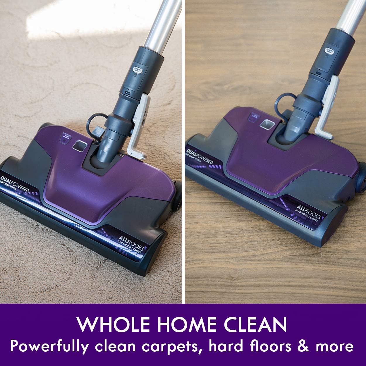 Thumbnail 2 de Kenmore 600 Series Pet Friendly Canister Vacuum 2-motor 🧹