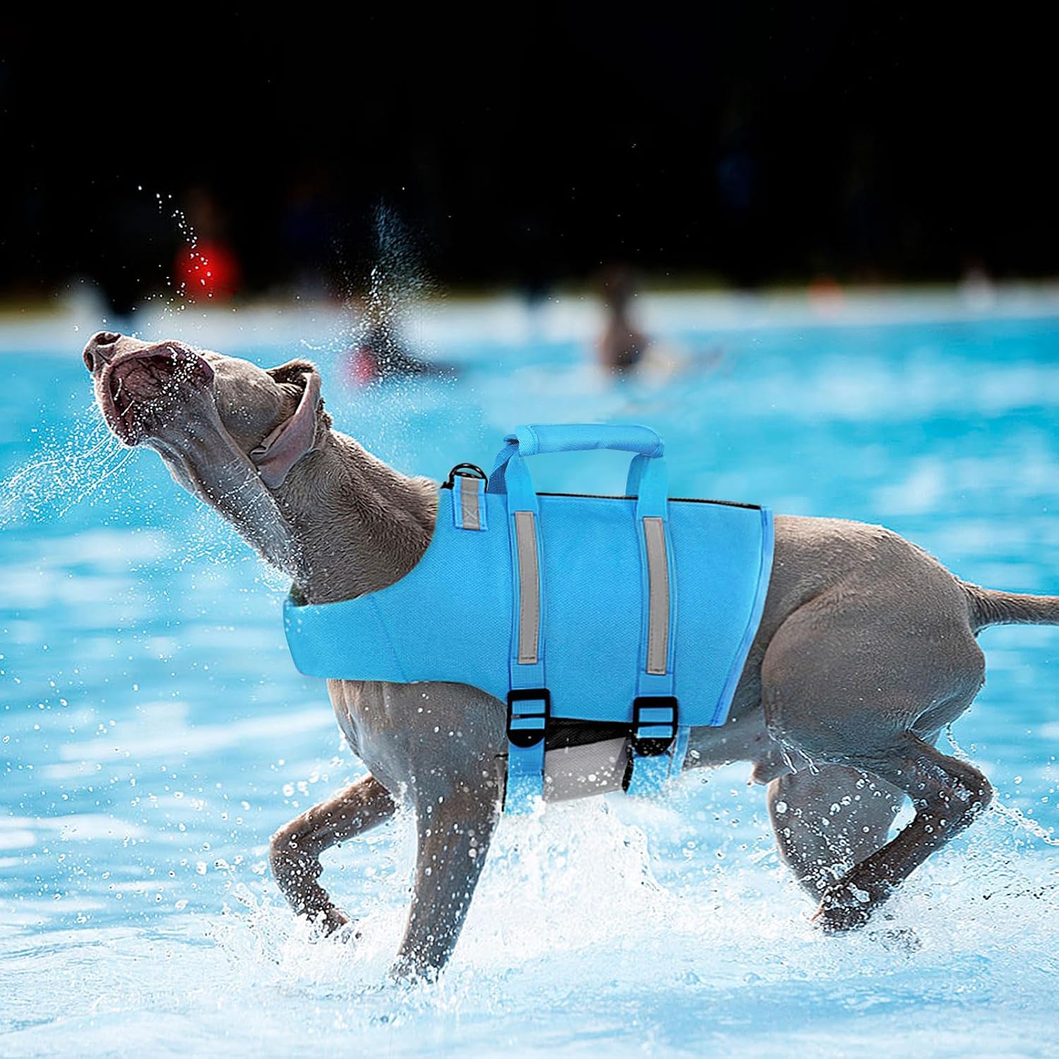 Detalle de Queenmore Dog Life Jacket, Size S