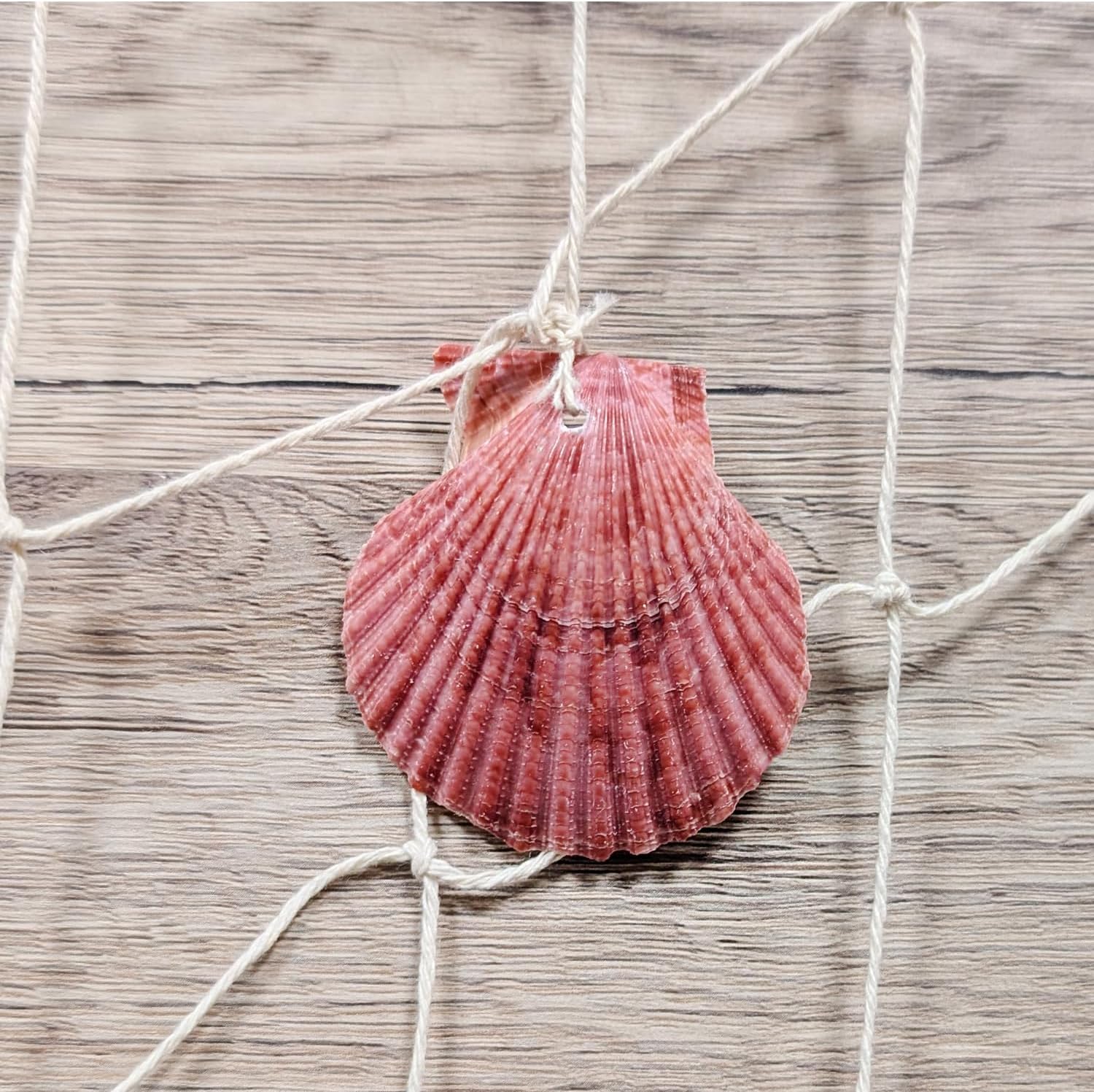 Detalle de Ensemble de décoration maritime COM-FOUR® : filet de pêche avec coquillages et maille photo