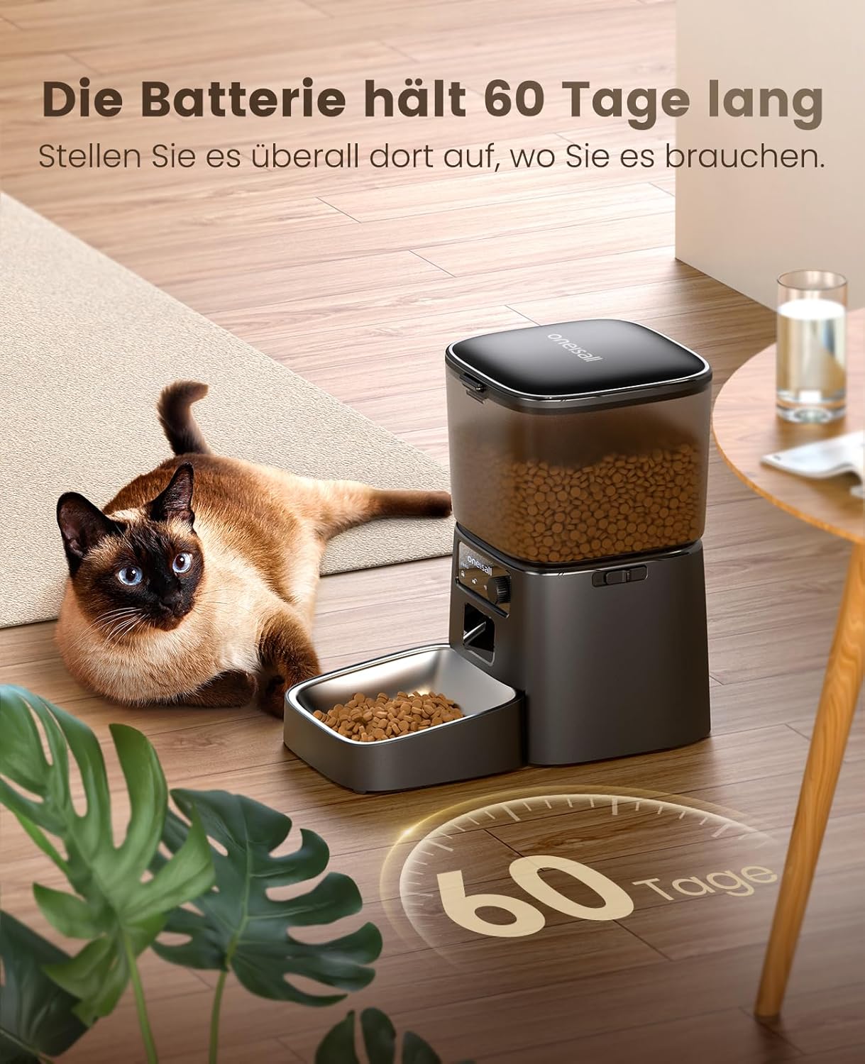 Detalle de oneisall 3,5 l Futterautomat für Katze mit WiFi & App-Steuerung (Upgrade 2,4 GHz) – inkl. Edelstahlnapf (Schwarz)