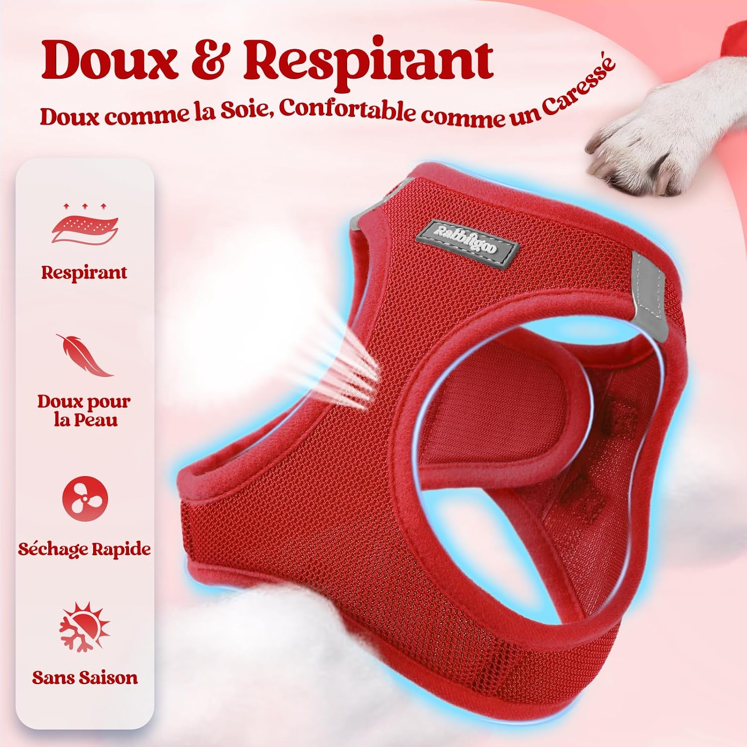 Thumbnail 3 de Harnais Chien Petite Taille avec Laisse Réfléchissant de rabbitgoo – Rouge S