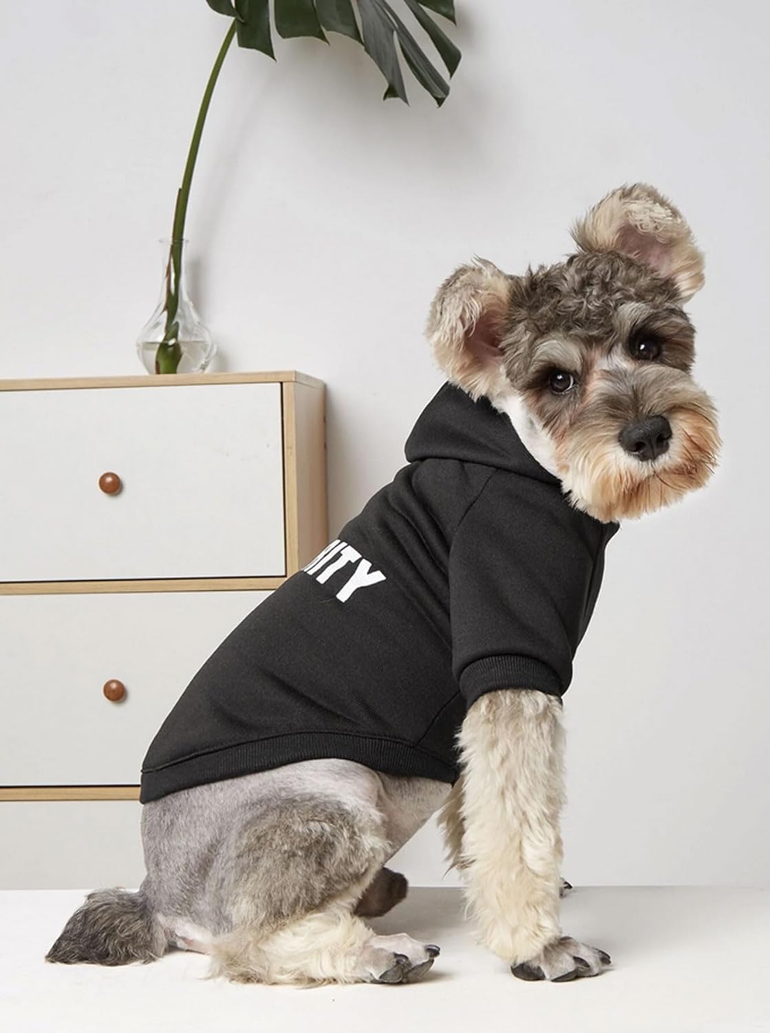 Detalle de DroolingDog Small Dog Hoodie: fleece-lined puppy sweatshirt with lead hole for autumn and winter