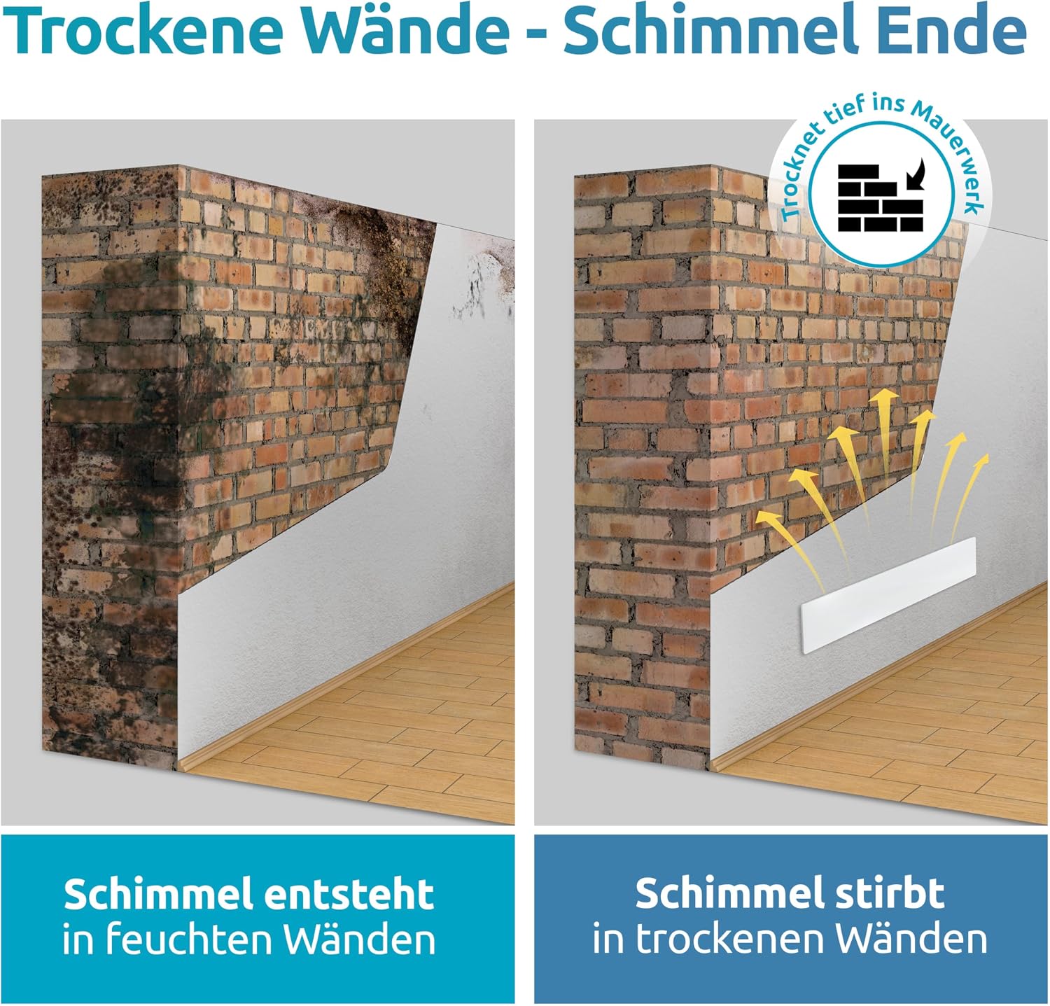 Detalle de ELIAS Schimmel Dry Schimmelentferner für Wand & Bad