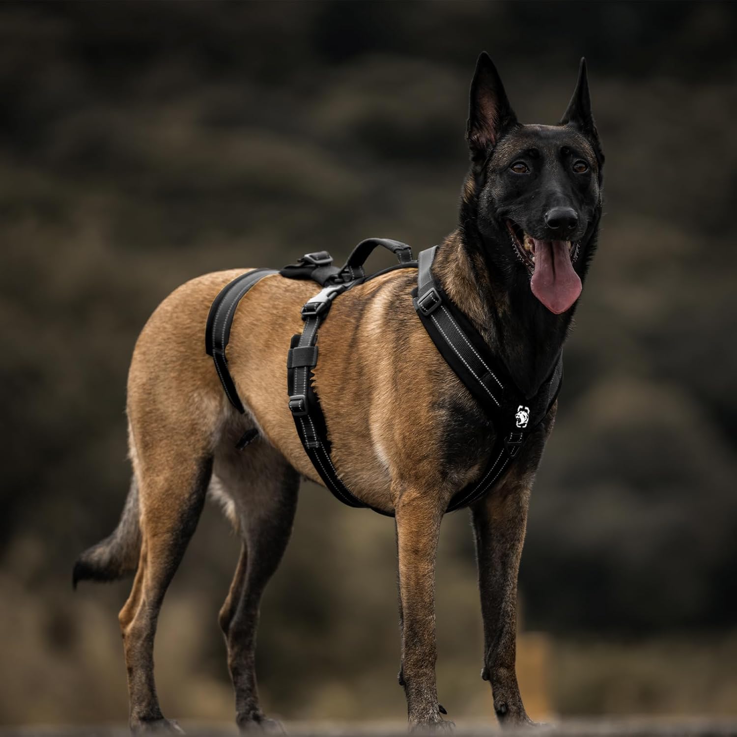 Thumbnail 6 de OneTigris Houndlock Harnais tactique pour chien – taille XL, anti-évasion, rembourré et réfléchissant