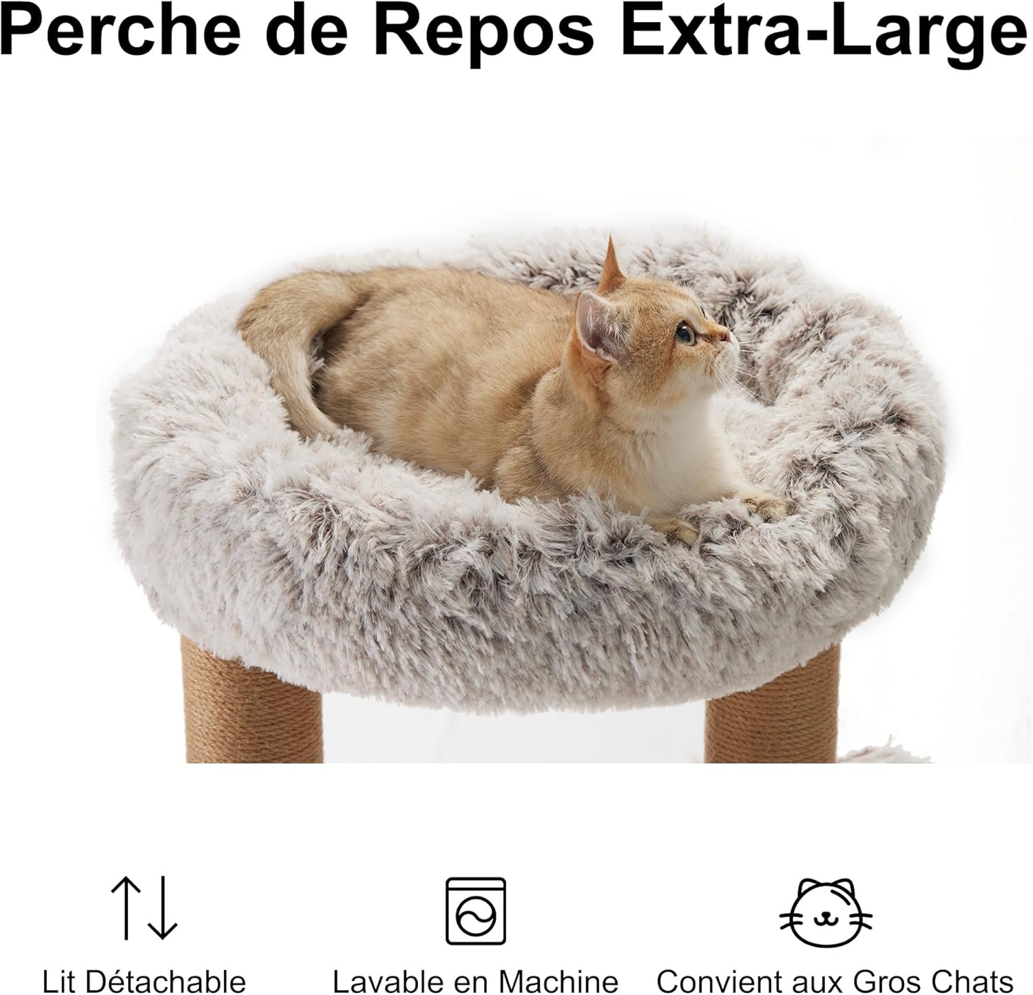 Thumbnail 3 de FUKUMARU Arbre à chat mural de 188 cm en bois de caoutchouc massif, multi-niveaux avec griffoir et panier suspendu