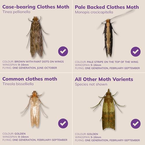Thumbnail 6 de Entopest 30-Pack Clothes Moth Monitoring Traps – Refills for Room & Wardrobe Hanger Units