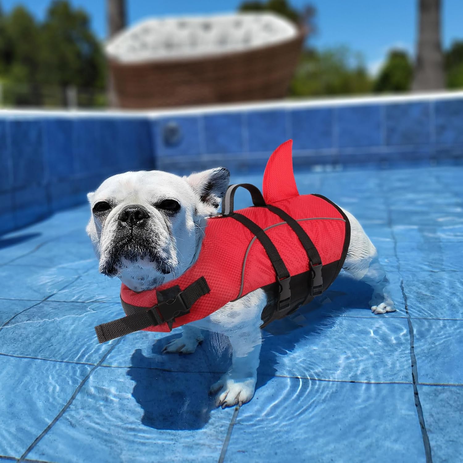 Thumbnail 6 de Queenmore Small Dog Life Jacket: Shark-Style Buoyancy for Safe Water Fun