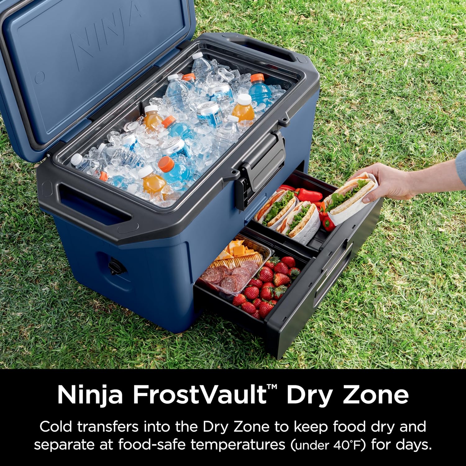 Thumbnail 2 de Ninja FB151BL FrostVault 50qt Cooler