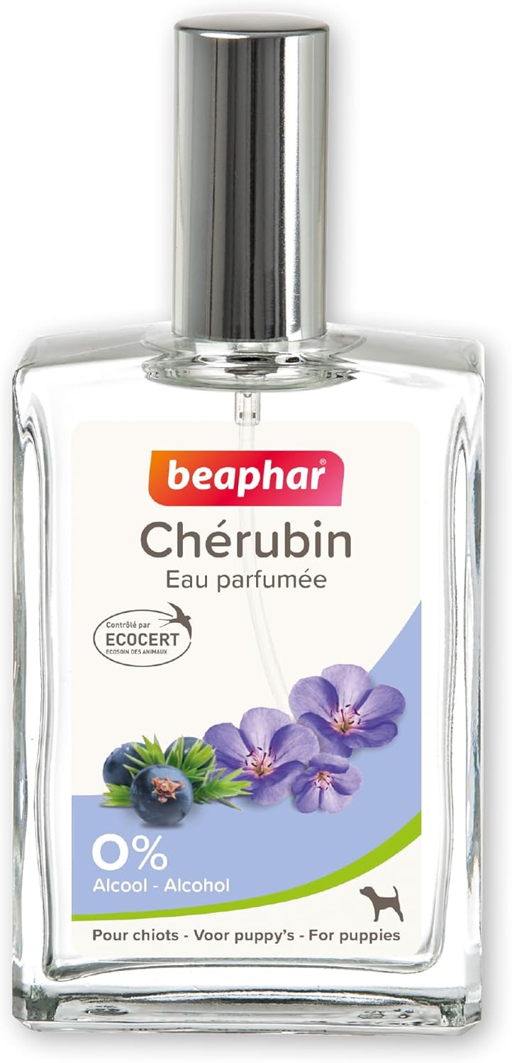 Detalle de BEAPHAR Mr FILOU Eau Parfumée labellisée ECOCERT pour Chien Mâle – 50 ml, sans alcool, 98% d’ingrédients naturels