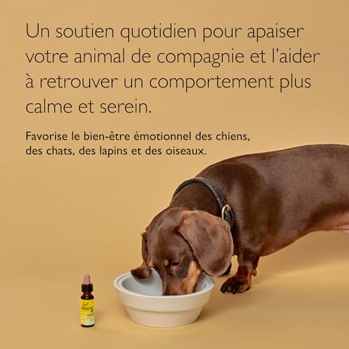 Thumbnail 3 de RESCUE PETS - Compte-Gouttes Sérénité pour animaux de compagnie, 20 ml