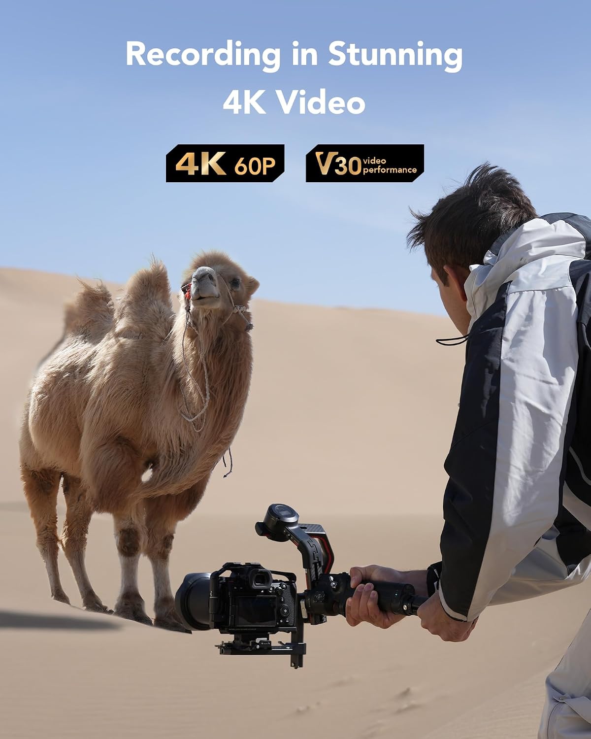 Detalle 2 de Lexar Tarjeta SD 512 GB UHS-I U3 V30 📸