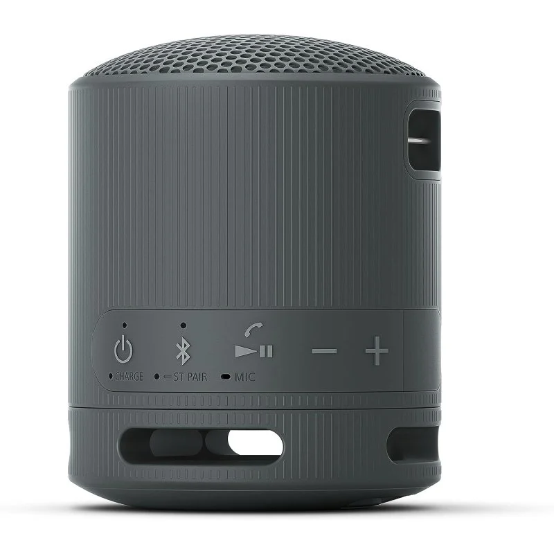 Detalle de Sony SRS-XB100 Altavoz Bluetooth portátil negro 🔊