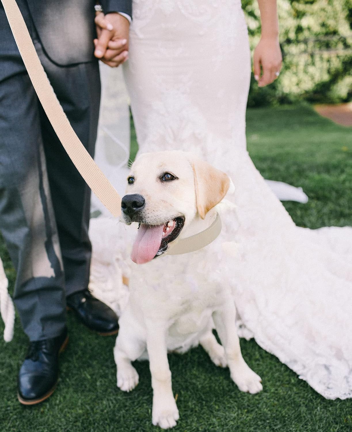 Thumbnail 4 de YUDOTE Dog Collar and Lead Set Small (S) in soft corduroy – cream white