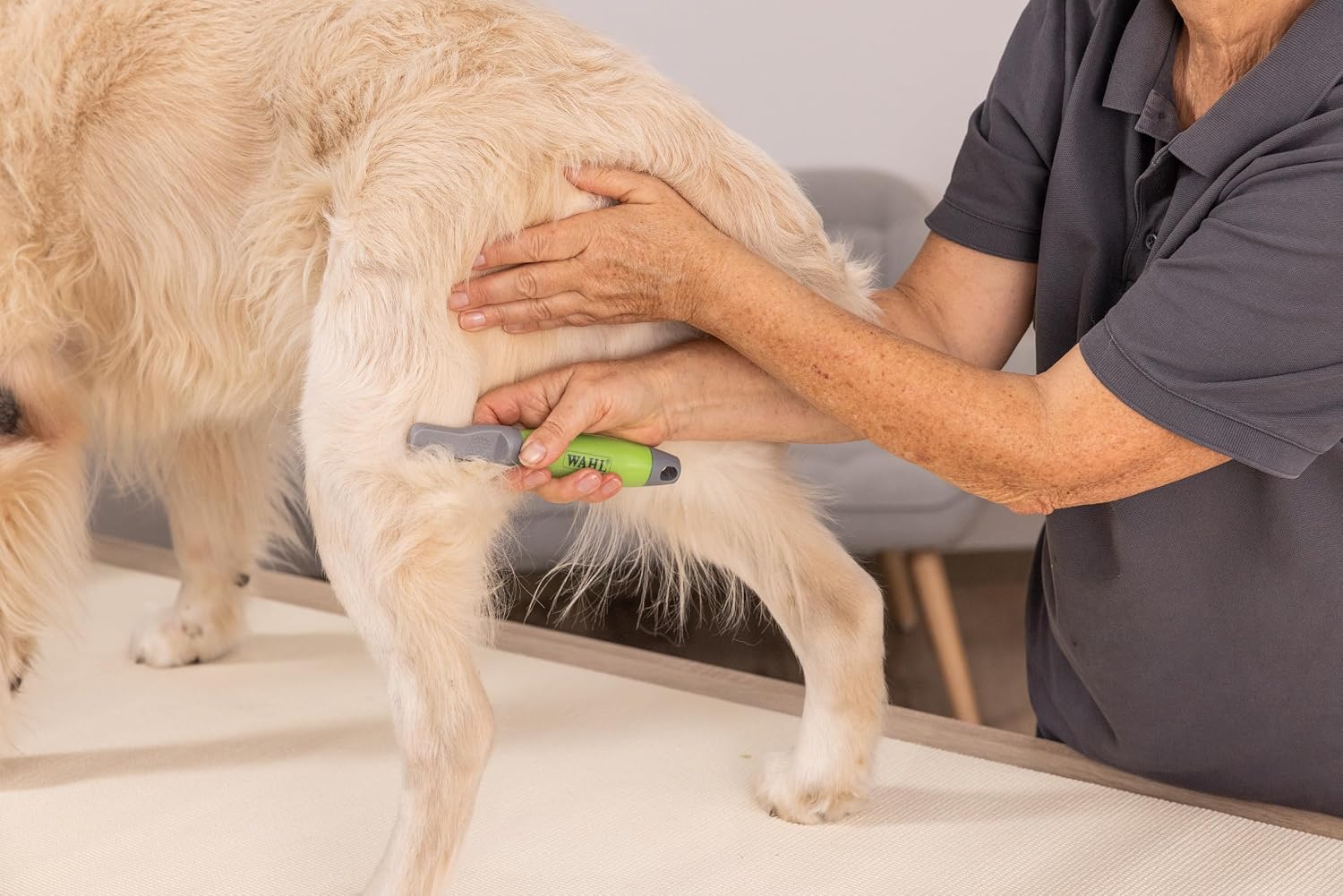 Thumbnail 1 de Wahl Démêloir — Démêlage efficace pour tous les chiens