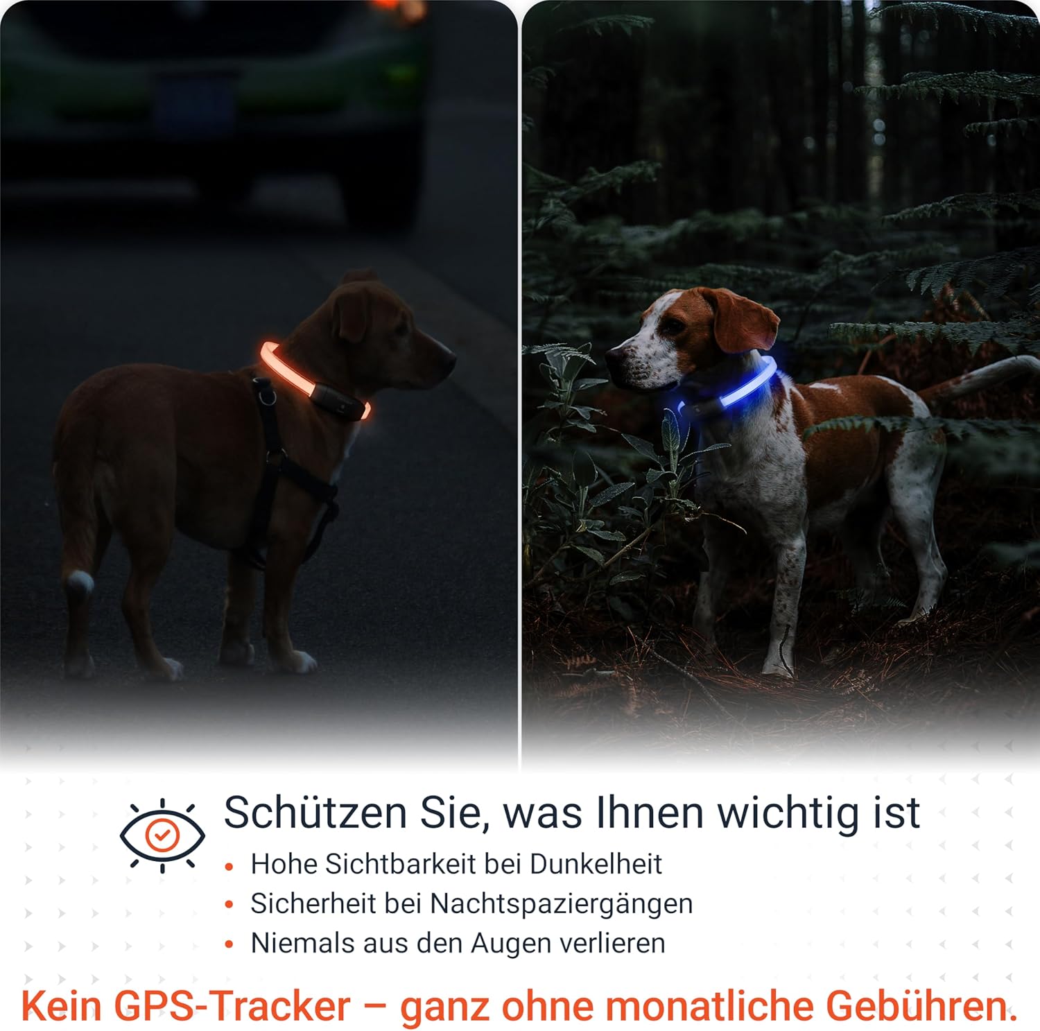 Detalle 2 de PAJ Light LED Collar 20-70 cm
