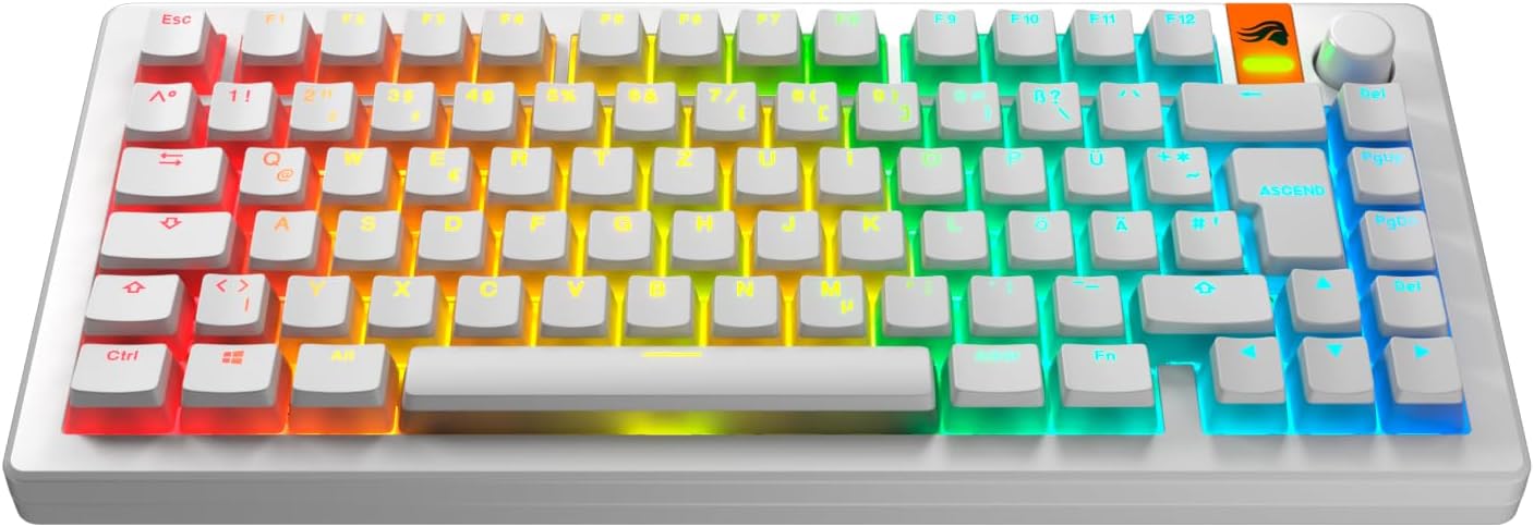 Detalle 2 de Glorious Gaming GPBT Aura Keycaps 100% ⌨