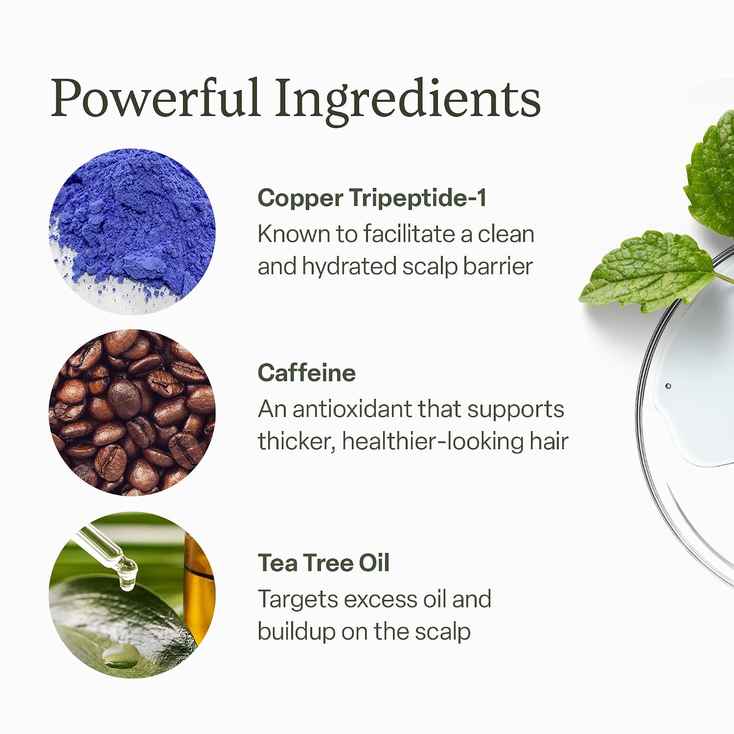 Detalle 2 de Divi Scalp Serum for Thinning Hair