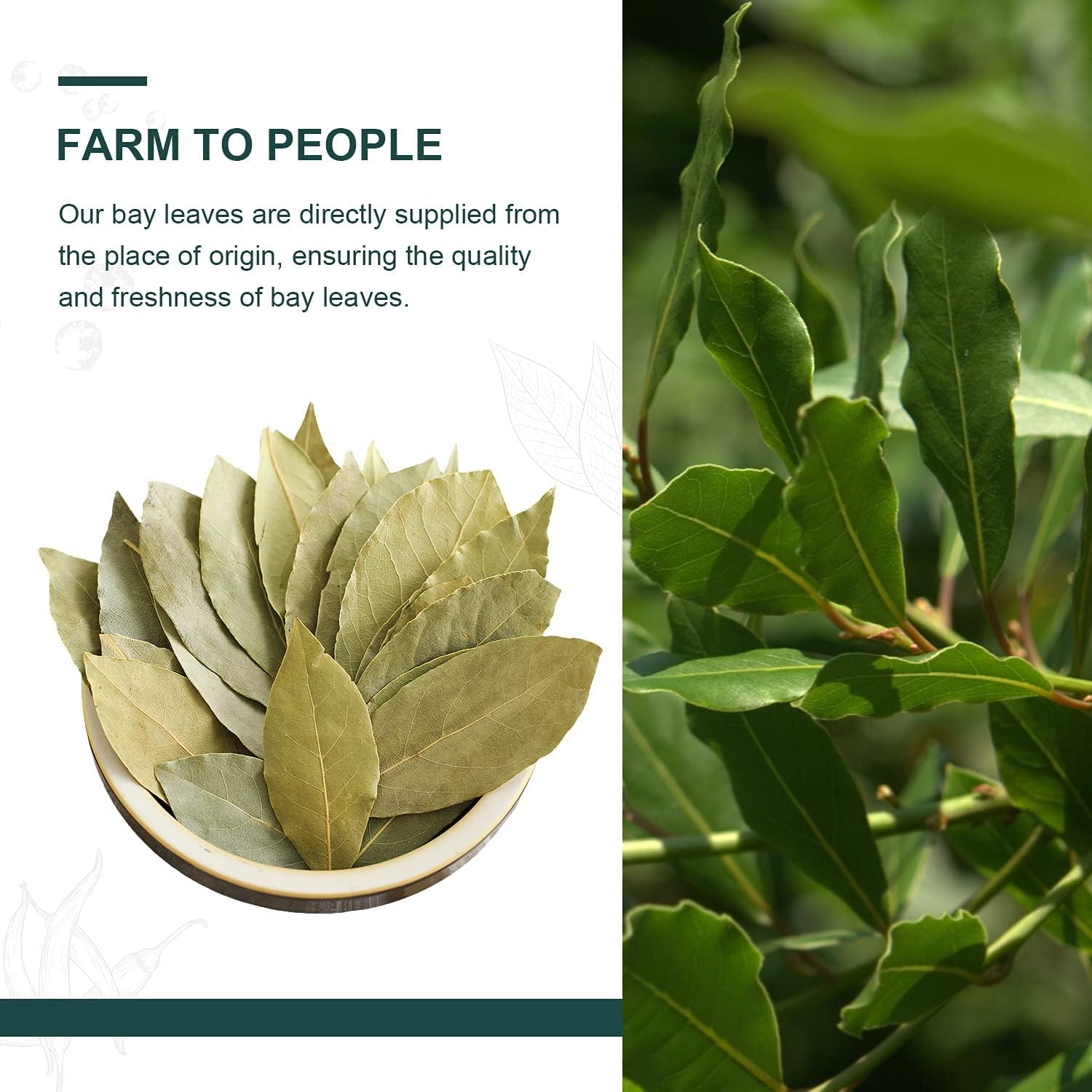 Thumbnail 3 de Soeos Dried Bay Leaves 57 g