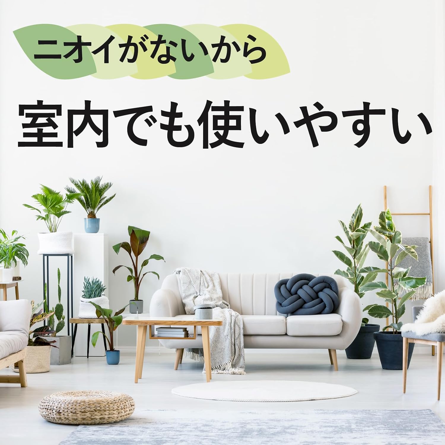 Detalle 1 de アースガーデン 4901080154316 土からわいたコバエ用置くだけ粘着剤 12個入 屋内外対応