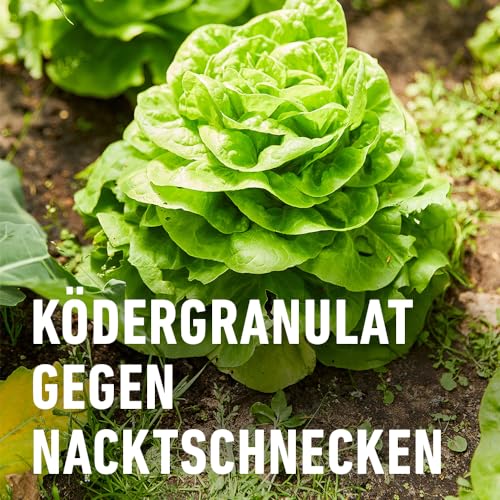 Thumbnail 6 de COMPO Schnecken-frei Streugranulat – 4x225 g (900 g) gegen Nacktschnecken, regenfest, für bis zu 1800 m²