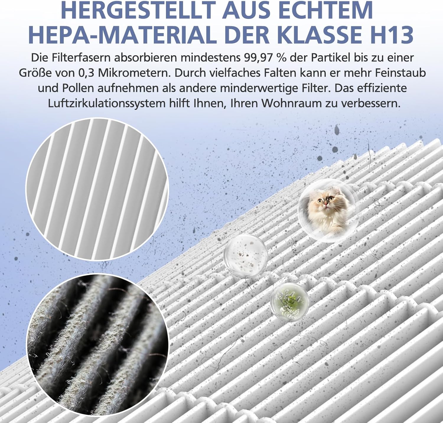 Detalle 2 de FY0611/30 HEPA Ersatzfilter 2er Pack
