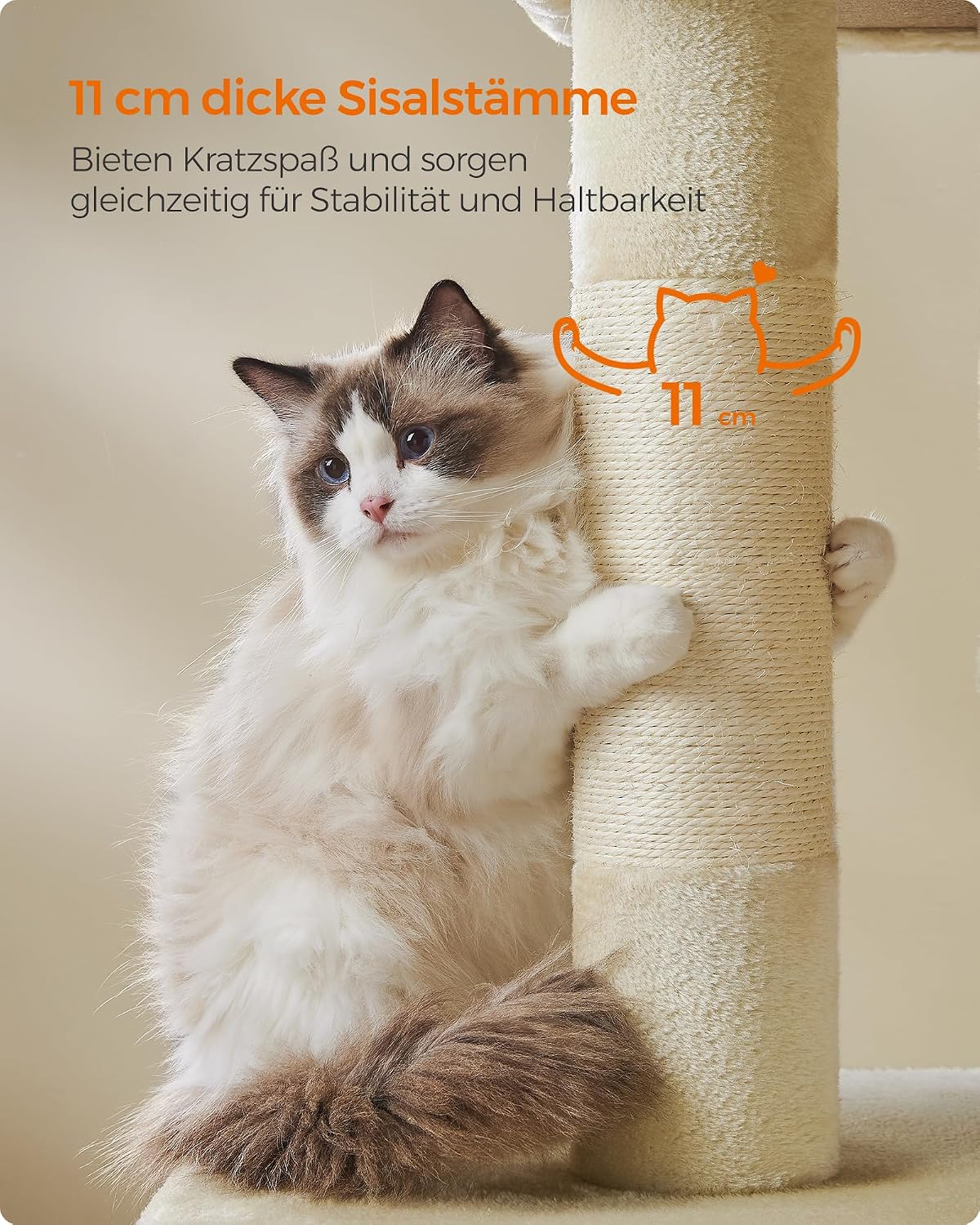 Thumbnail 6 de Feandrea Kratzbaum PCT614M01 (101 cm) XL – Katzenhaus mit großer Plattform, 2 Höhlen & Sisalstämmen