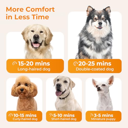 Thumbnail 5 de Pecute Pulseur pour chien Caniche sèche‑cheveux 4 buses