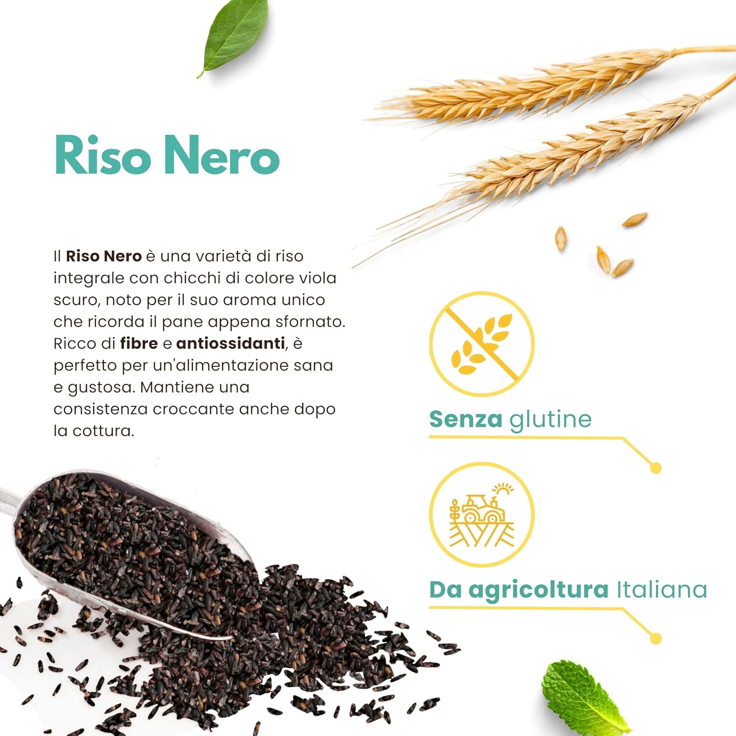 Thumbnail 1 de Riso Nero Integrale Italiano 2 kg (2x1 kg) – Aromatico, Senza Glutine, Ricco di Fibre e Antiossidanti