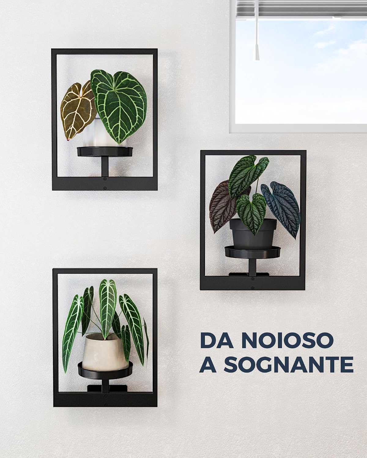 Detalle 2 de Bamworld Fioriere da appendere per piante da interno, confezione da 3 – design cornice e scaffali sospesi