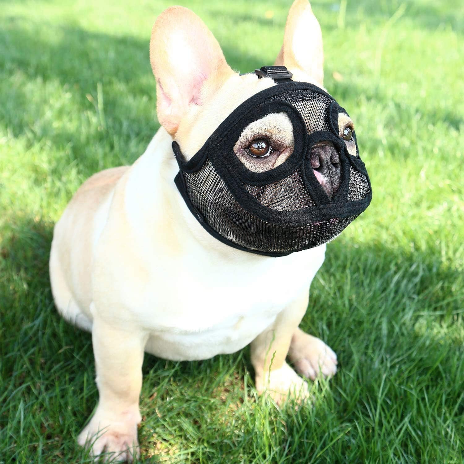 Detalle de Adjustable Short Snout Dog Muzzle (Mesh) for Bulldogs, Pugs & More – Breathable Mouth Cover