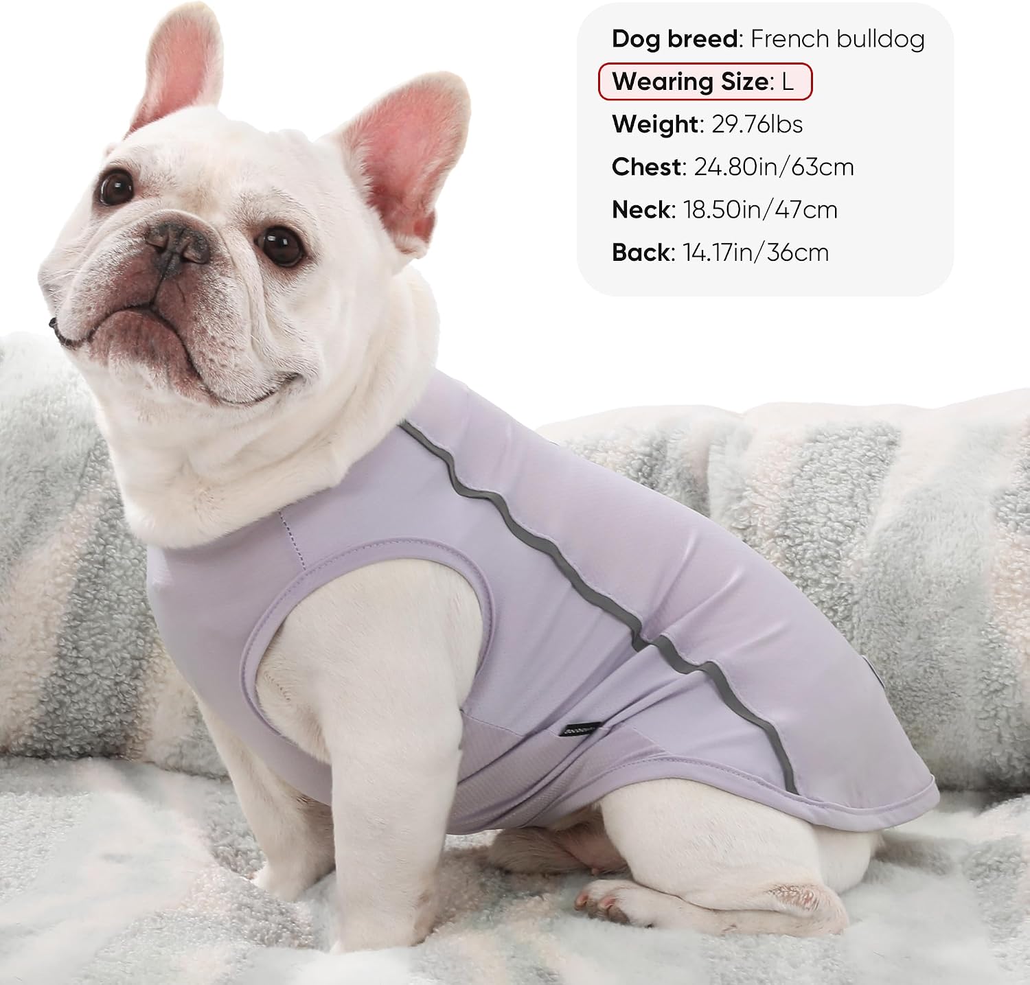 Detalle de BAOBICUTE Dog Shirts