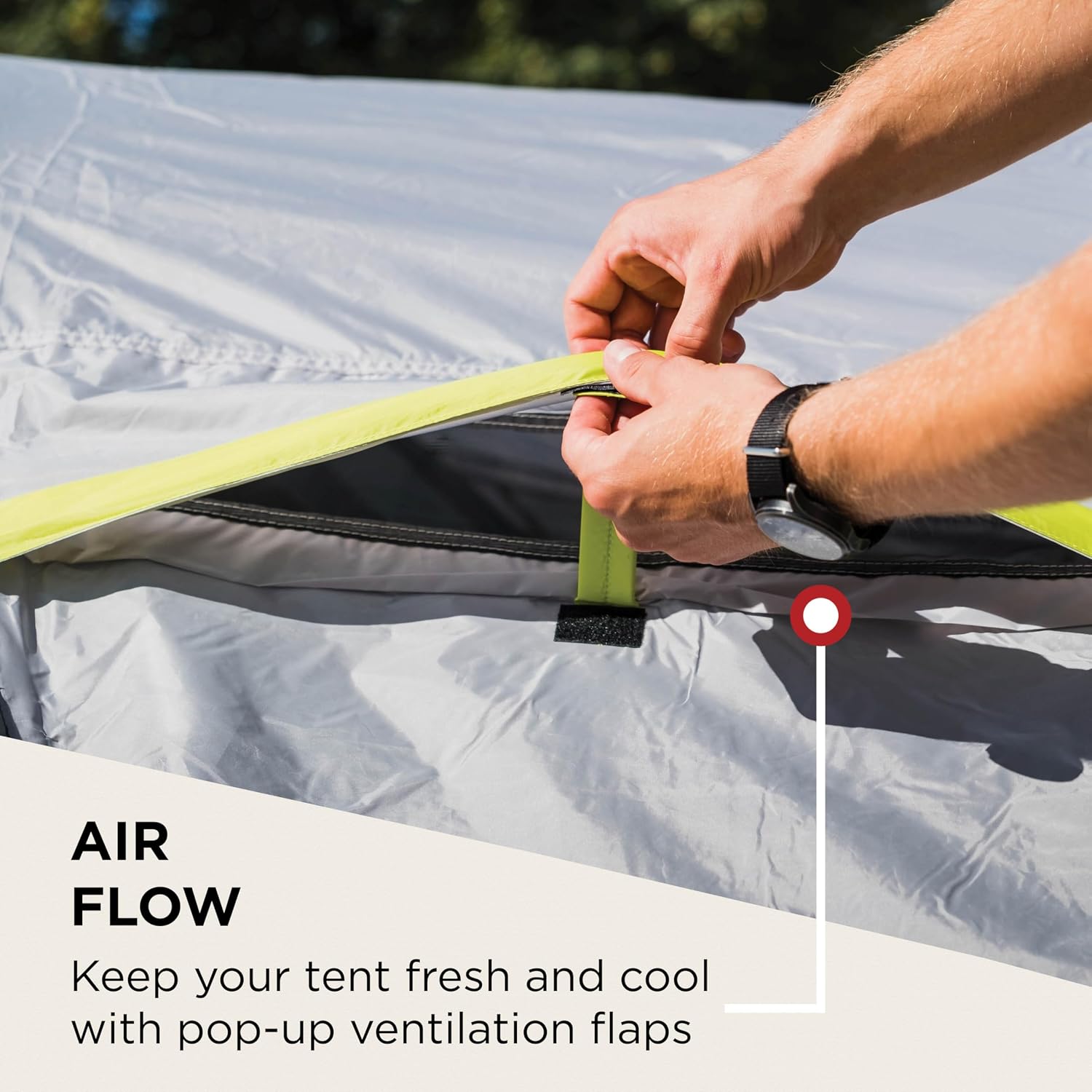 Detalle de Coleman Tent Darwin: Practical, quick-setup family camping shelter