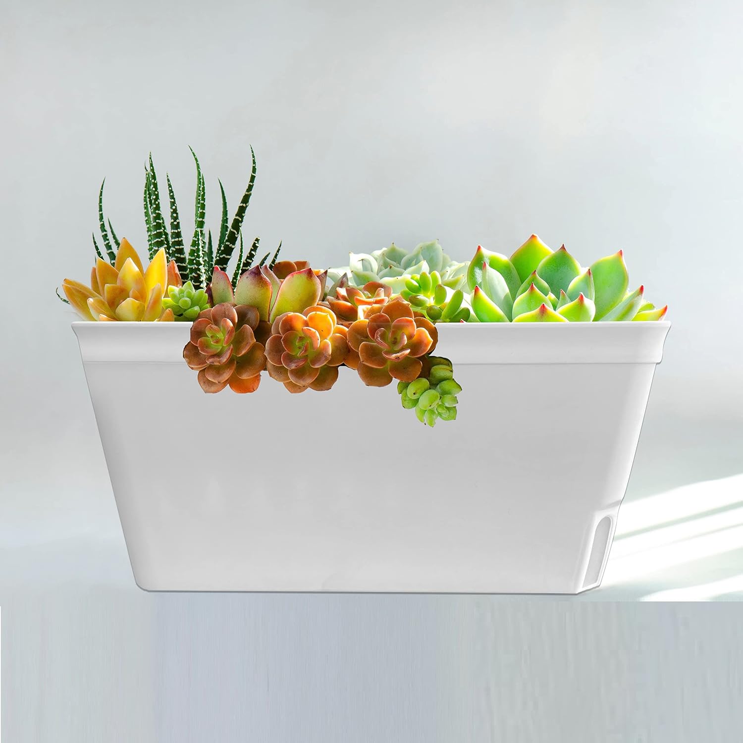 Thumbnail 2 de Olly & Rose Lazy Planters Self-Watering