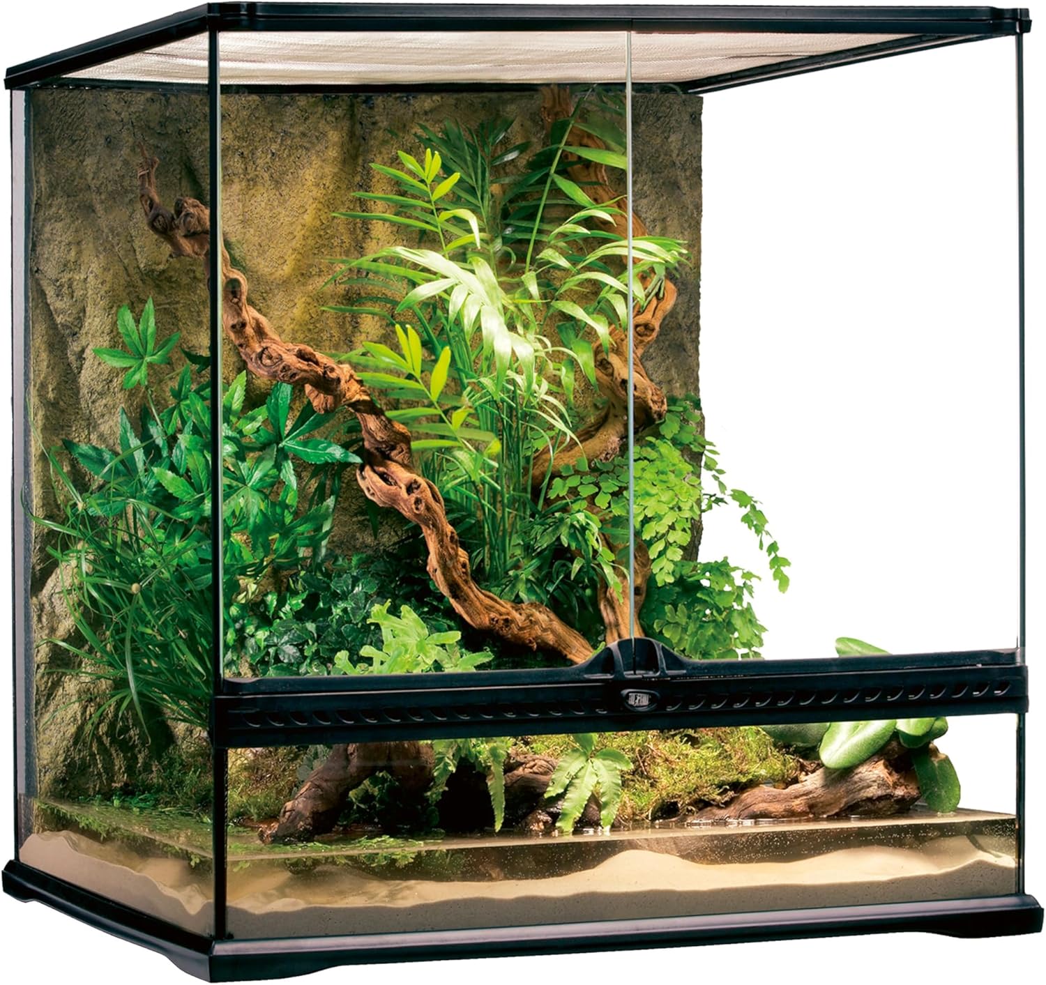 Thumbnail 6 de Exoterra Terrarium en Verre pour Reptiles et Amphibiens 20 x 20 x 30 cm