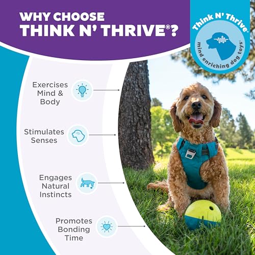 Thumbnail 6 de Nina Ottosson Interactive Dog Toys - Dog Puzzle Toys for Beginners, Level 1 (Outward Hound)